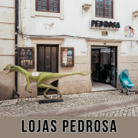 _Lojas Pedrosa